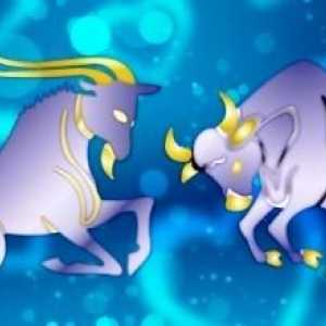 Zářivé vyhlídky: Taurus female + kozel