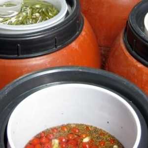 Rajčata Drum: recept slané občerstvení