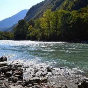 Бзыбь - река в Абхазии. Описание, особенности и природный мир