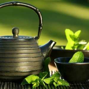 Zelený čaj je prospěšný a proč by měl být opilý