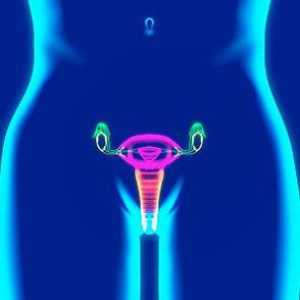 Poškrábané klitoris: příčiny, léčba a prevence nemocí