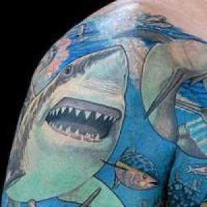 Co znamená tetování „Žralok“?