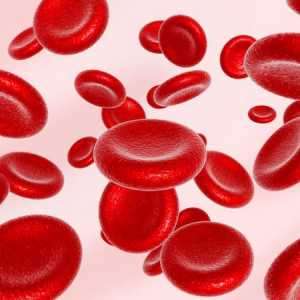Co zvyšuje hemoglobin, a jaké potraviny by měly být zahrnuty ve vaší stravě?