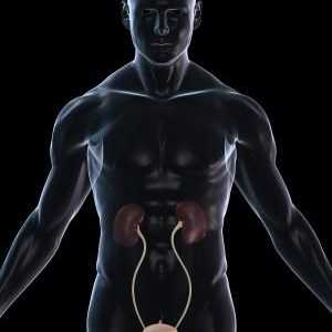 Zánět močového měchýře u mužů: příčiny, příznaky a léčebné metody