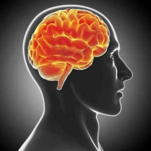Demyelinizační onemocnění mozku: léčba, prognózy a symptomy