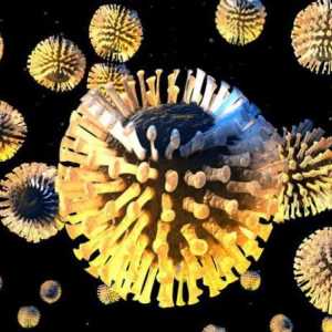 Diagnóza: rotavirus infekce. Komorowski: rady a tipy. Rotavirové: známky a příznaky, léčba a dieta