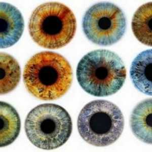 Co chirurgický zákrok se provádí změnou barvu očí?