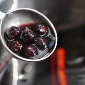 Domácí víno z černého rybízu: chutný a zdravý recept alkohol