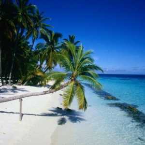 Dominikánská republika: Hlavní město Santo Domingo, nejlepší pláže a výlety do Punta Cana. Jak…