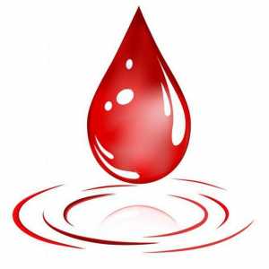 Darování krve: Výhody a poškozuje. Kde a jak darovat krev