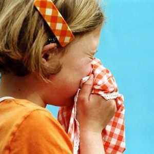 Zánět vedlejších nosních dutin u dětí symptomy a charakteristiky nemoci