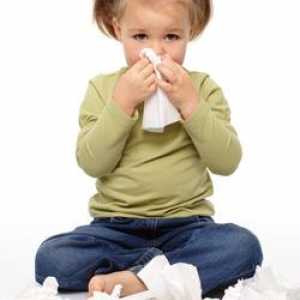 Zánět vedlejších nosních dutin u dítěte: co to je. Příčiny, léčba