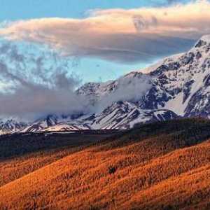Где находятся Золотые горы Алтая? Фото Золотых гор Алтая