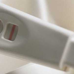 Genetické analýzy na plánování těhotenství: popis, charakteristiky a doporučení