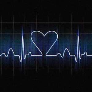Hyperechogenní zaměření v levé komoře plodu srdce: diagnózy, příčiny