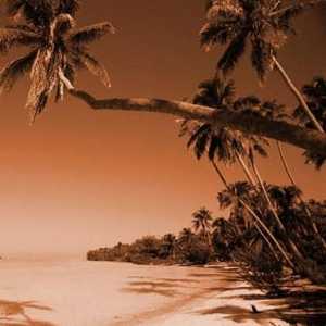 North Goa: pláže v rytmu reggae