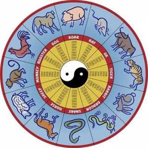Rok Buvola: charakteristický. Znamení býka, východní / čínský kalendář