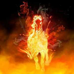 Rok ohnivého koně - dobrý nebo zlý? Co můžete očekávat od zástupců této značky?