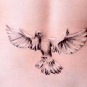Dove - tetování, jehož význam je dobré vědět