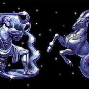 Kompatibilita horoskop. Union Kozoroh-Vodnář žena + muž