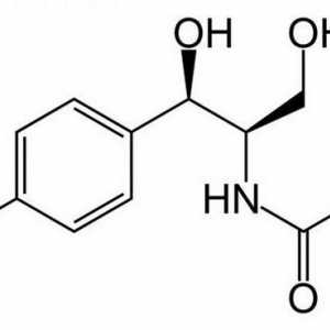 „Chloramfenikol“: návod k použití. Kapky „chloramfenikol“