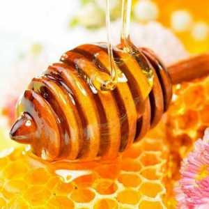 Skladování medu v domácnosti: základní pravidla