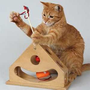 Hračky pro kočky online - zábavy pro domácího mazlíčka