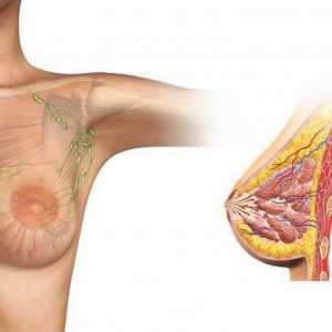 Invazivního karcinomu prsu: příčiny, diagnostika, léčba. Krev pro nádorové markery