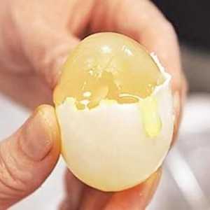 Umělé vejce - je to možné?