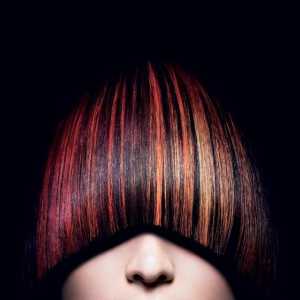 Bright a jedinečná paleta barev vlasů „Igor“