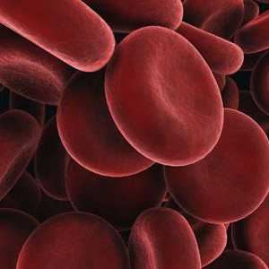Červené krvinky jsou zvýšeny u dítěte: jaké jsou důvody