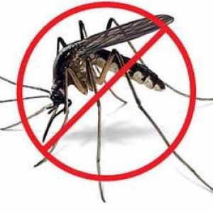 Jak se vypořádat s komáry. dobrá rada