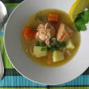 Jak připravit šťavnaté polévku červené ryby?