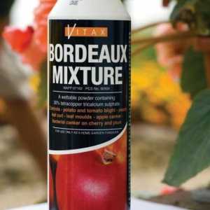 Jak je použito v Bordeaux směs pro rajčata