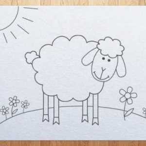 Jak k tomu ovce. Kreslení fáze