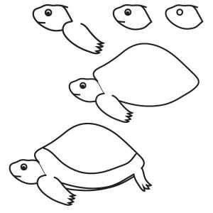Как нарисовать черепаху: пошаговая инструкция для начинающих