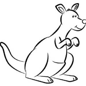 Как нарисовать кенгуру карандашом поэтапно?