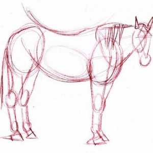 Как нарисовать коня при помощи простого карандаша