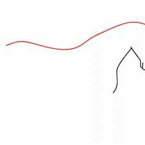 Jak nakreslit koně krok za krokem: jednoduchý obvod