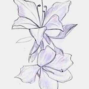Как нарисовать орхидею? Изображаем воплощение простоты и изысканности