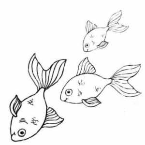 Как нарисовать рыбок? Несколько вариантов