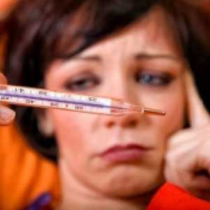Jak porazit virus chřipky pomocí léku během těhotenství Antigrippin