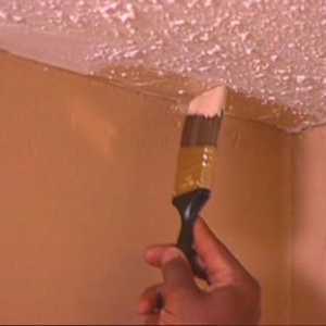 Jak malovat s latexovým strop: funkce procesu