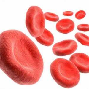 Jak zvýšit hemoglobin v krvi