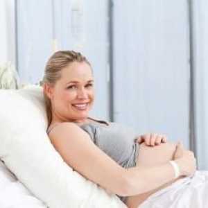 Jak porodit chlapce - teoretický návod pro nastávající matka