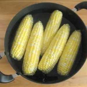 Jak uvařit kukuřici: několik praktických tipů