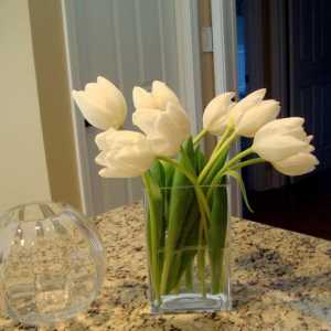 Jak pečovat o řezané tulipány doma?