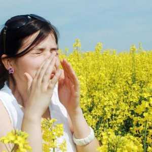 Jak mám vědět, co alergie u dítěte? Jak zjistit příčinu alergie u dospělých?