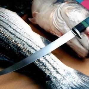 Jak si vybrat bedra nůž ryby. Kvalitní nůž na krájení ryb