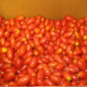 Jak zavřít pro zimní rajčat do hroznů?